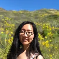alice chen blog