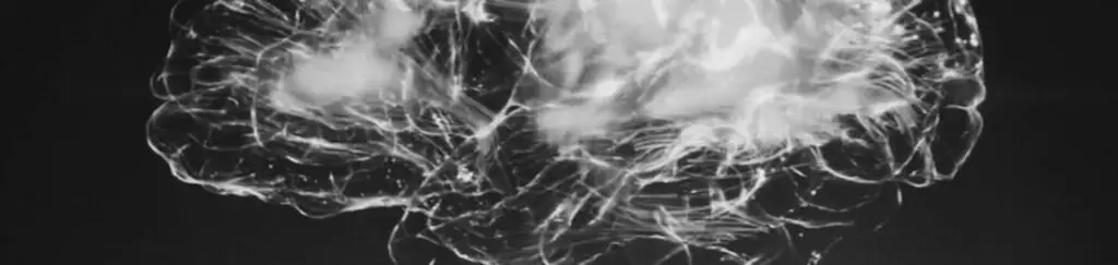 neurofeedback-455