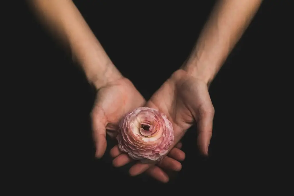Hands cradling a delicate flower, symbolizing empathy and protection against manipulation in relationships with narcissists and borderlines.
