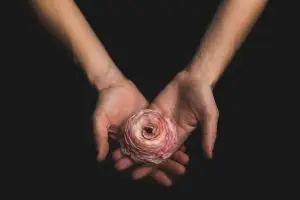 Hands cradling a delicate flower, symbolizing empathy and protection against manipulation in relationships with narcissists and borderlines.