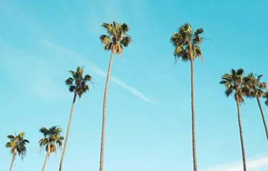 West Los Angeles neighborhood near the My LA Therapy office