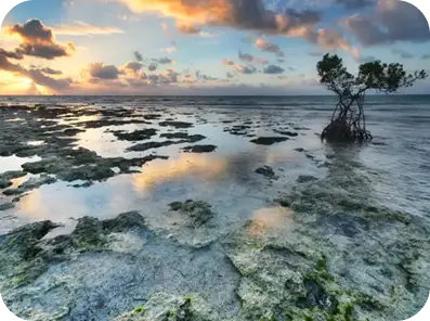 retreat tulum