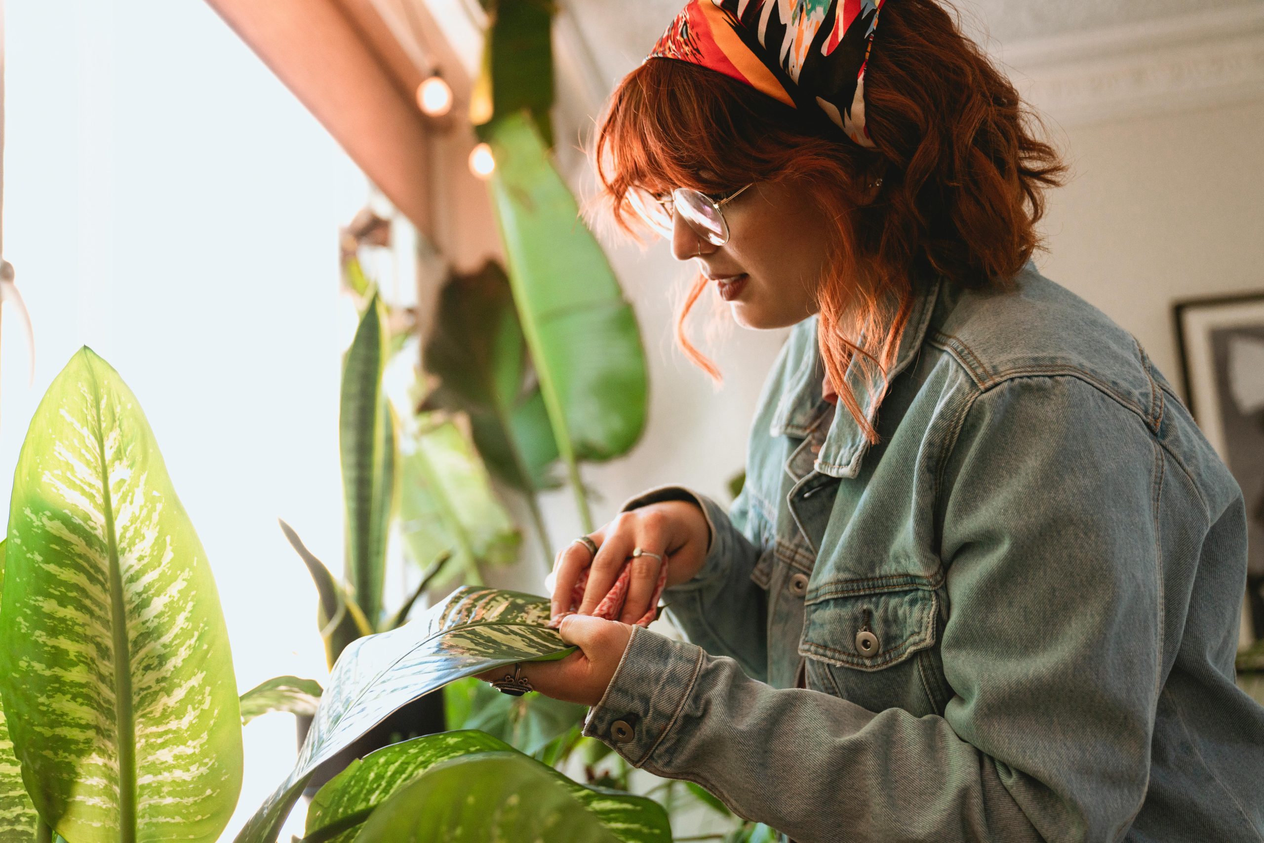 Woman in Light Blue Denim Jacket Taking Care of Her Houseplants for Mindfulness Gardening