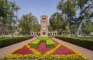 USC-film-expert-300x194-1