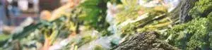 Nutrition-455-300x71